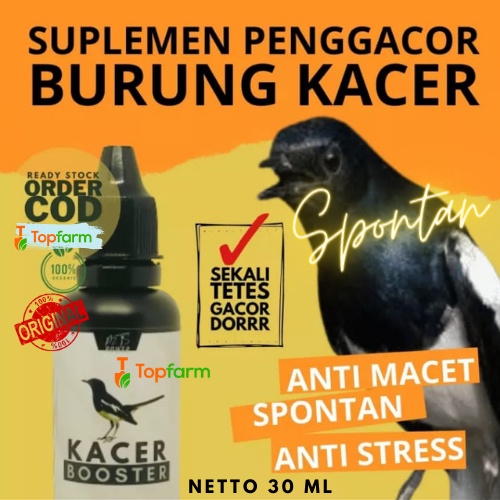 Vitamin Kacer Agar Gacor / Obat Kacer Super Gacor / Obat Kacer Serak / Obat Kacer Macet / Obat Burun