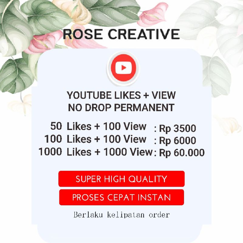 YOUTUBE VIEW + LIKES NO DROP