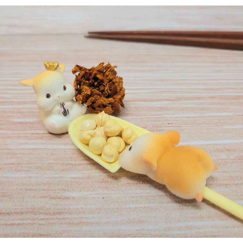 Organic Roasted Chickpea Snack Hamster 10g