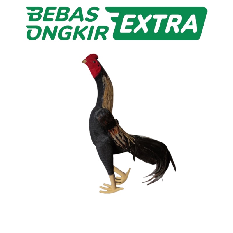 Boneka ayam full badan - boneka pelatih ayam