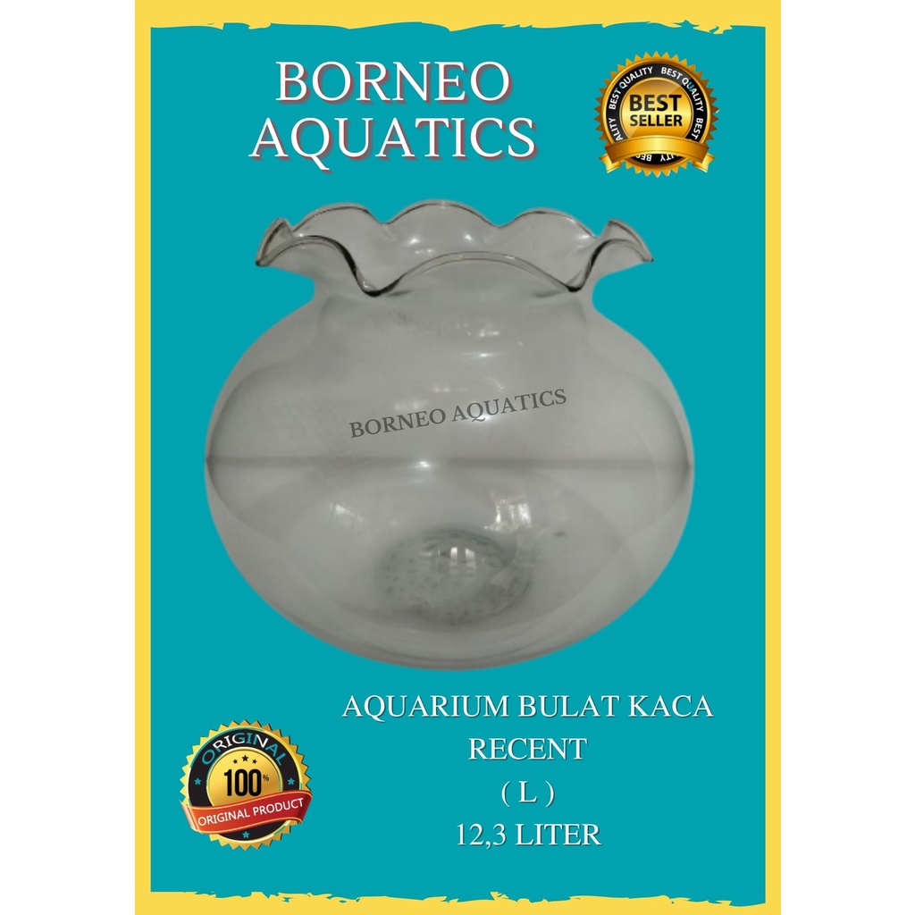 AQUARIUM BULAT KACA  // RECENT L ( 12,3 LITER ) // UNTUK IKAN KECIL, AQUASCAPE