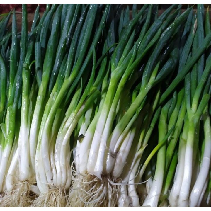 

Daun bawang per 250 gram