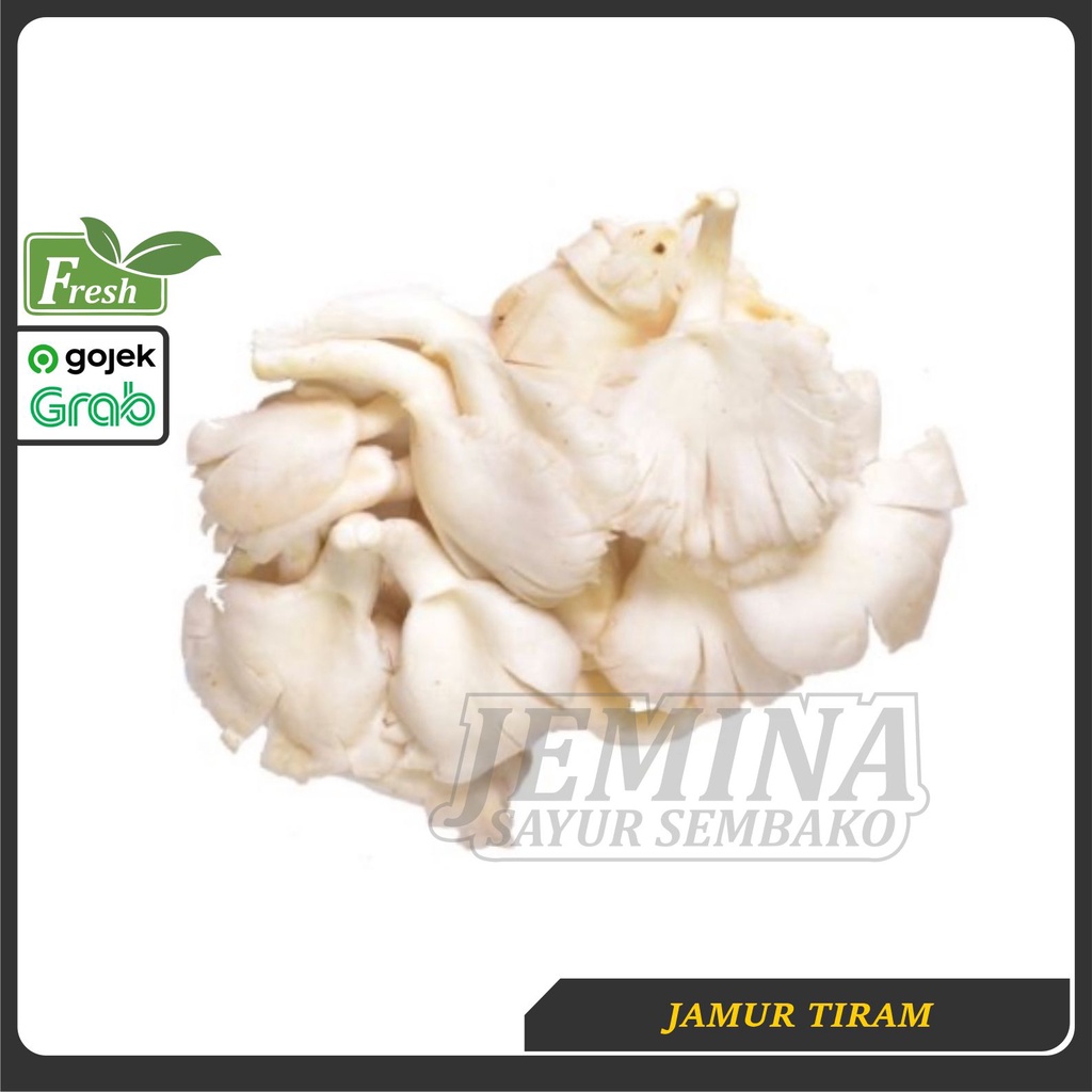 

Jamur Tiram Putih - Sayur Jogja