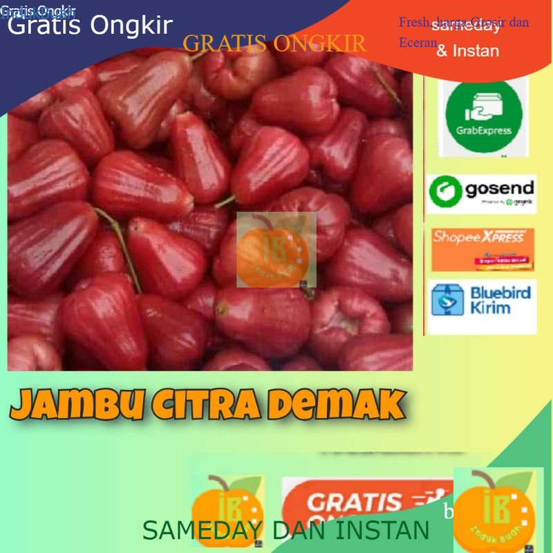 Jambu Citra Jambu Demak Jambu Air Jambu Merah 1kg