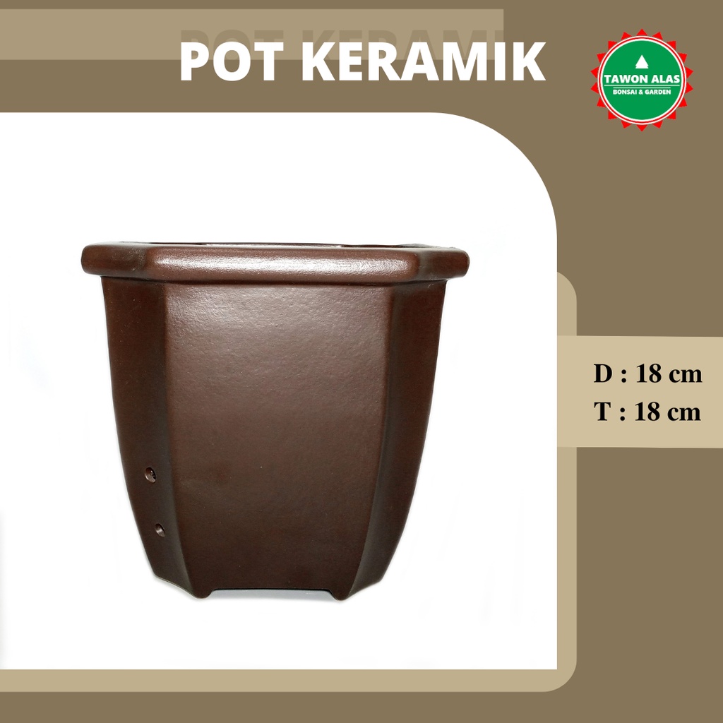 Pot Keramik Bonsai Segi Empat Tinggi