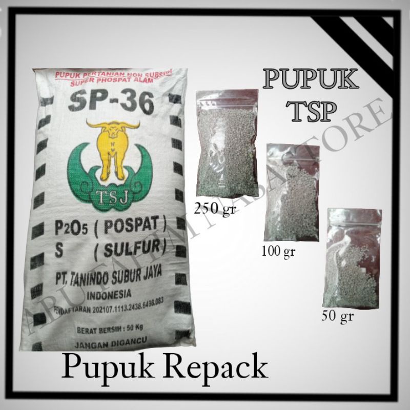 PUPUK CSP TSP 36 SP / PUPUK PEMBENAH TANAH / PUPUK DASAR / PUPUK PENYUBUR TANAH