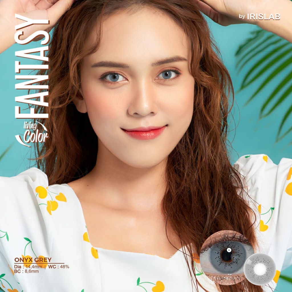 SOFTLENS MINUS DAN NORMAL FANTASY ONYX GREY 14.4mm (0.00 sd -6.00) LIVING COLOR GRATIS TEMPAT SOFLEN