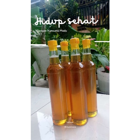 

madu murni asli 1 botol marjan 100k