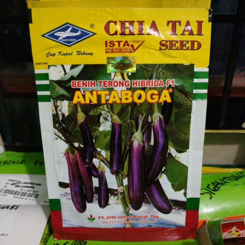 Benih Terong Ungu Hibrida Antaboga F1 isi 10 gram