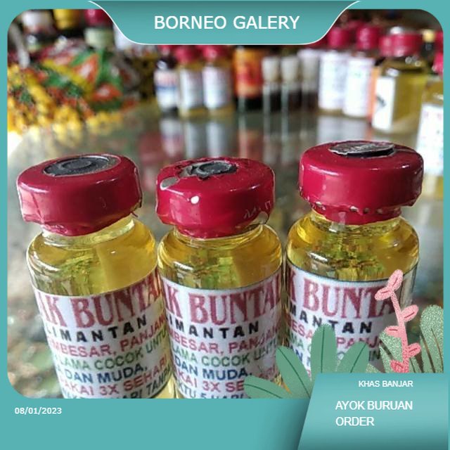 Minyak Buntal Asli Kalimantan