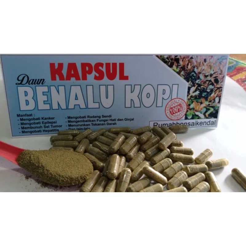 Kapsul benalu kopi isi 50 butir/kapsul benalu kopi/benalu kopi