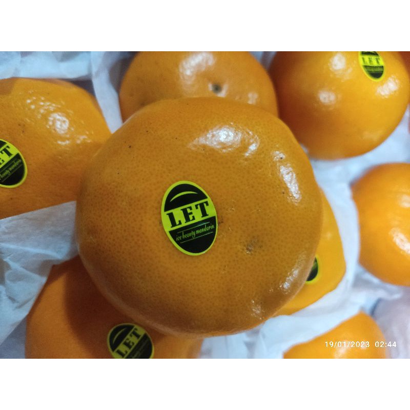 

jeruk Murcot import ( 1kg )