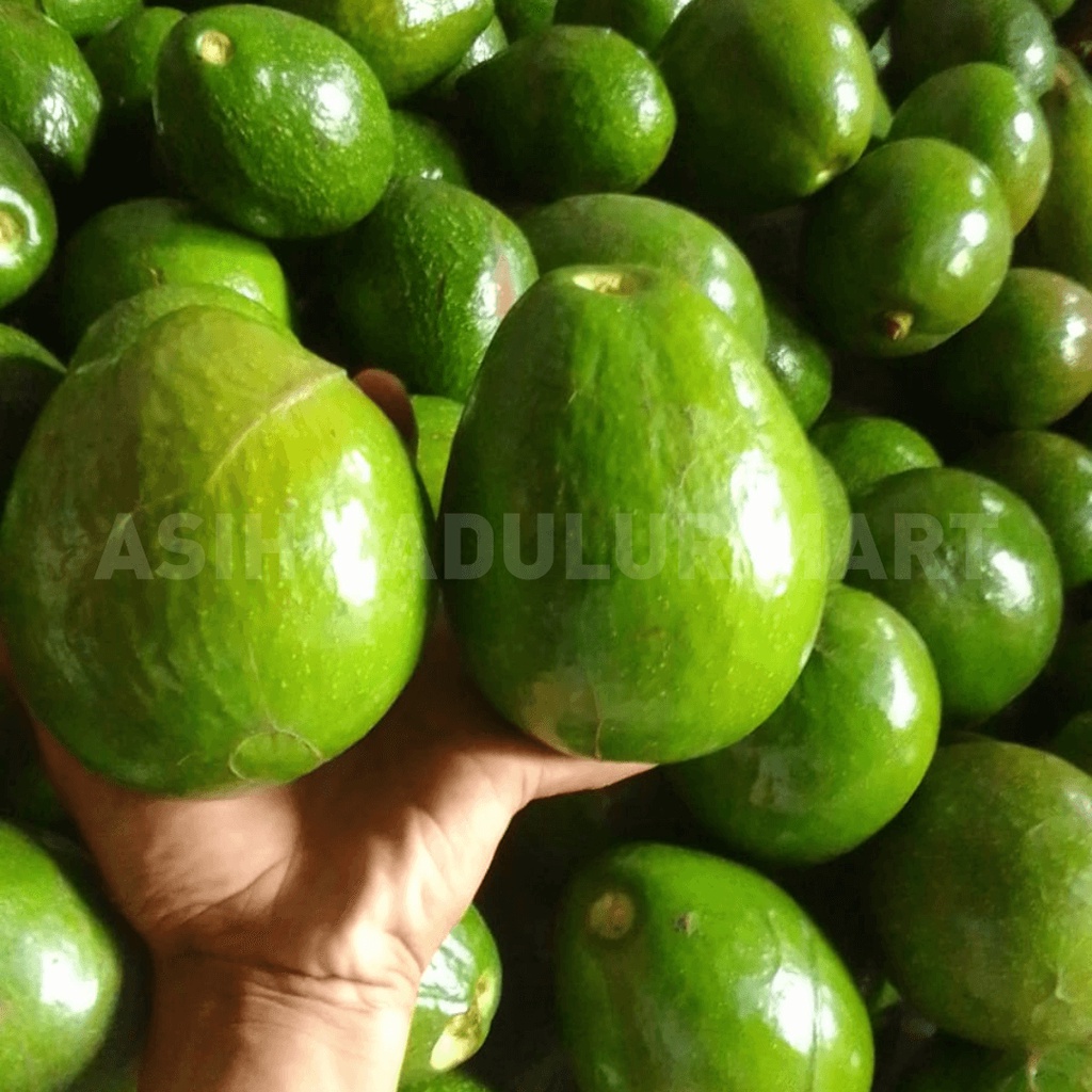 Alpukat Mentega 1kg Buah Segar Kota Bandung | Asih Sadulur Mart