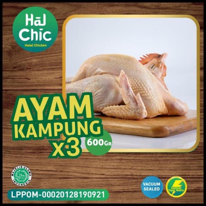 

TERBARU PAKET HEMAT 3 HALAL AYAM KAMPUNG GOOD PRODUK F5464RY