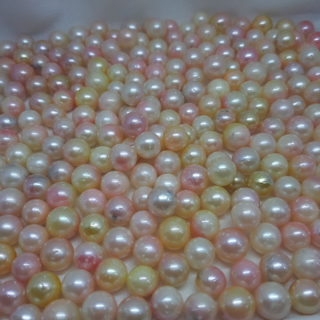 butiran mutiara laut pink