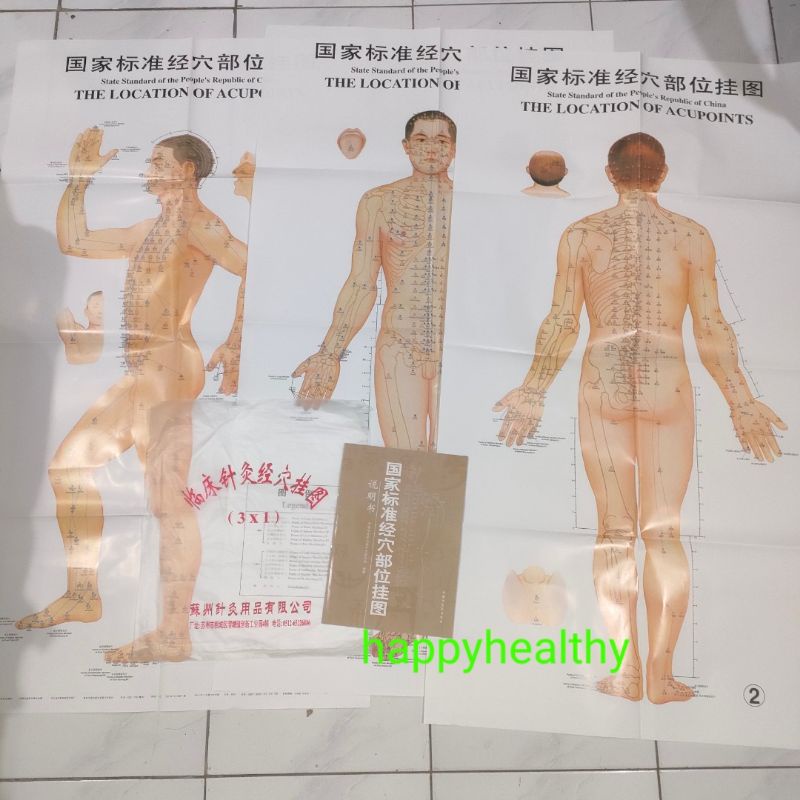 Poster gambar titik akupuntur pria wanita, cewek cowok 3 sisi