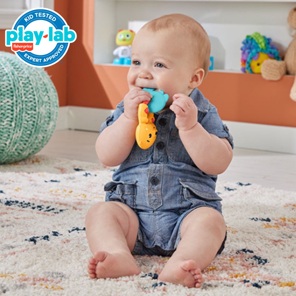 Fisher Price Teething Time Otter Teether - Mainan Gigitan Anak