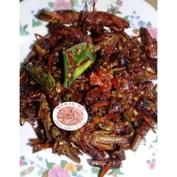 

BELALANG GORENG MURAH isi 100 gram /WALANG KAYU /WALANG BESAR