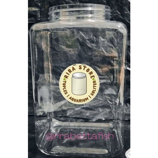 toples cupang 4 liter kotak tanpa tutup