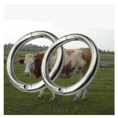 Ring Cincin Hidung Sapi Stainless Steel Bull Ring Sapi Kerbau Banteng Berkualitas Best Seller