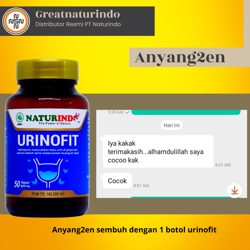 Obat batu ginjal prostat herbal isk Infeksi saluran kemih pria kencing batu wanita ngompol penghancur batu ginjal beser anyang anyangan Urinofit Naturindo