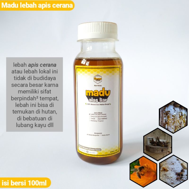 Jual Madu Murni Ml Kemasan Ekonomis Madu Asli Dari Jenis Lebah Apis Cerana Bukan Lebah