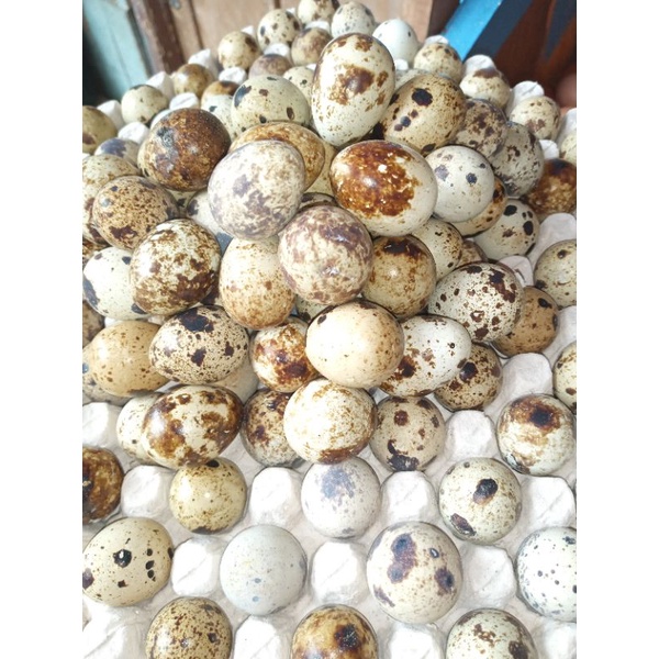 

Telur Puyuh Fresh Per 500 Gram