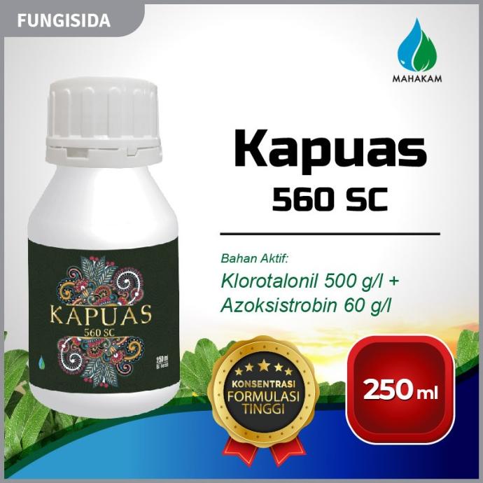Kapuas 560 SC 250ml Fungisida Pestisida Pembasmi Hama Tanaman Kentang