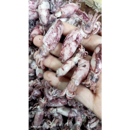 

ikan asin cumi beby, cumi uk beby/kecil super fres