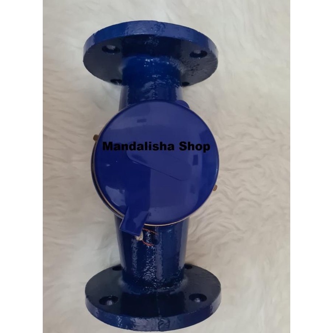Water Meter 2 inch inchi