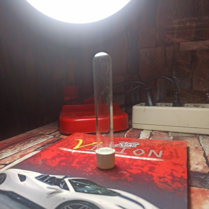 tabung hack/tabung reaksi tutup ulir/test tube 10ml