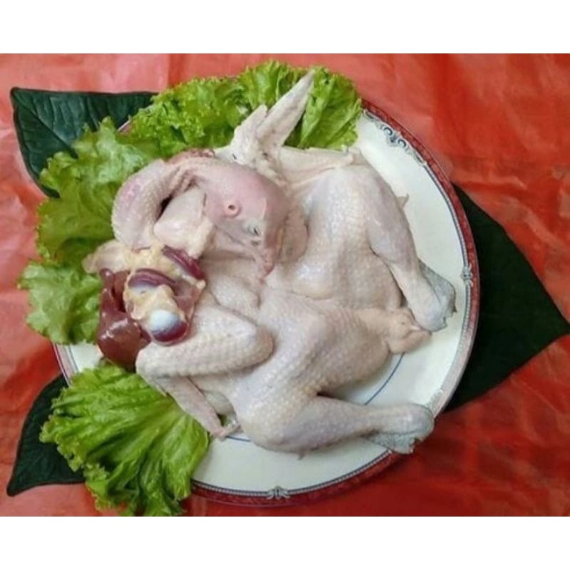 

Ayam Kampung Fresh 1.400 gr
