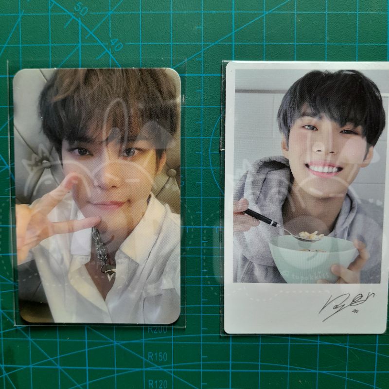 DOYOUNG NCT 127 THE LINK DVD JAPAN JEPANG BLU-RAY PHOTOCARD POLAROID NATURE REPUBLIC NATREP