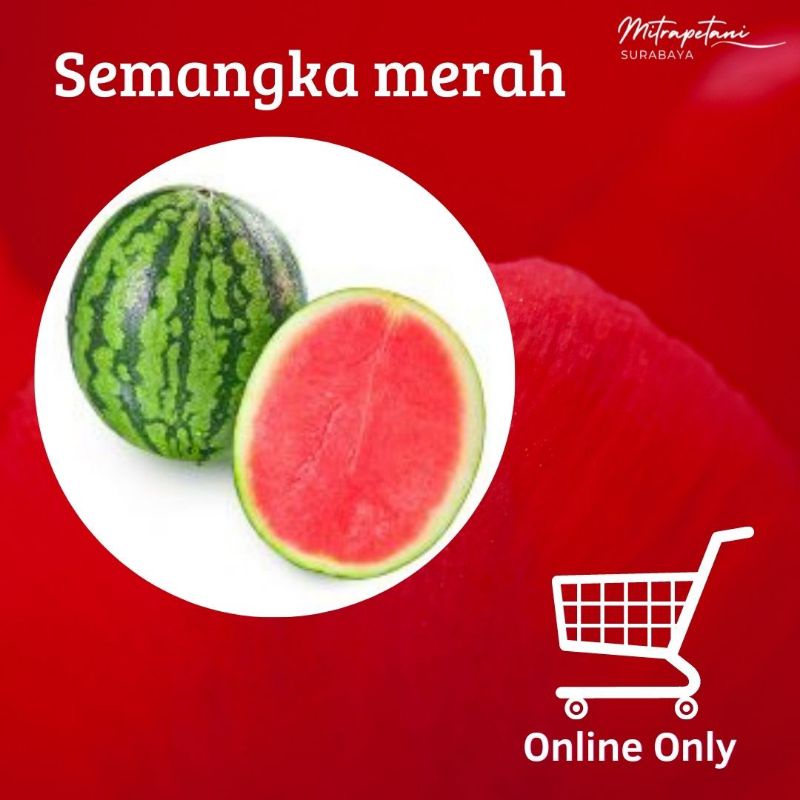 

semangka merah,semangka merah segar, semangka potong