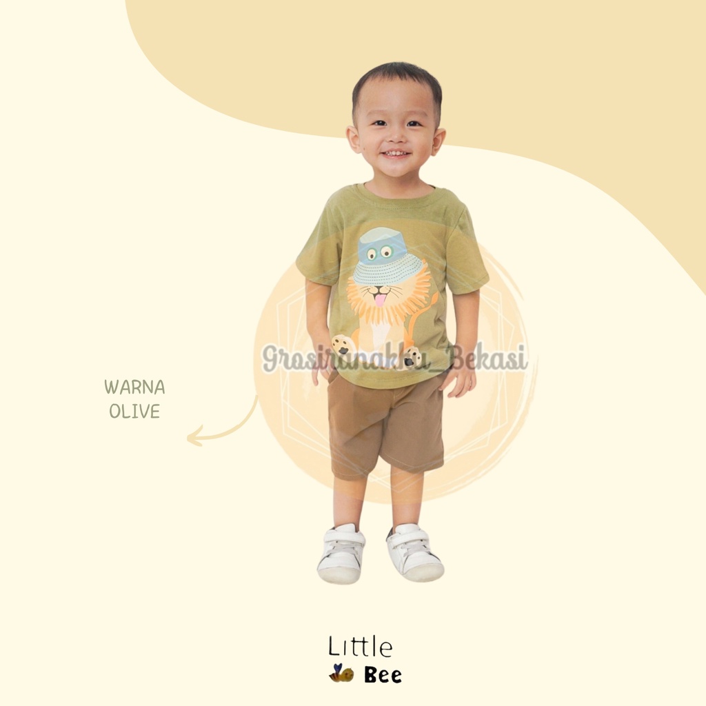 Setelan Anak Cowok Oman LittleBee Warna Olive Size 1-5 tahun