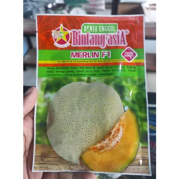 Benih melon Merlin F1 20 gram