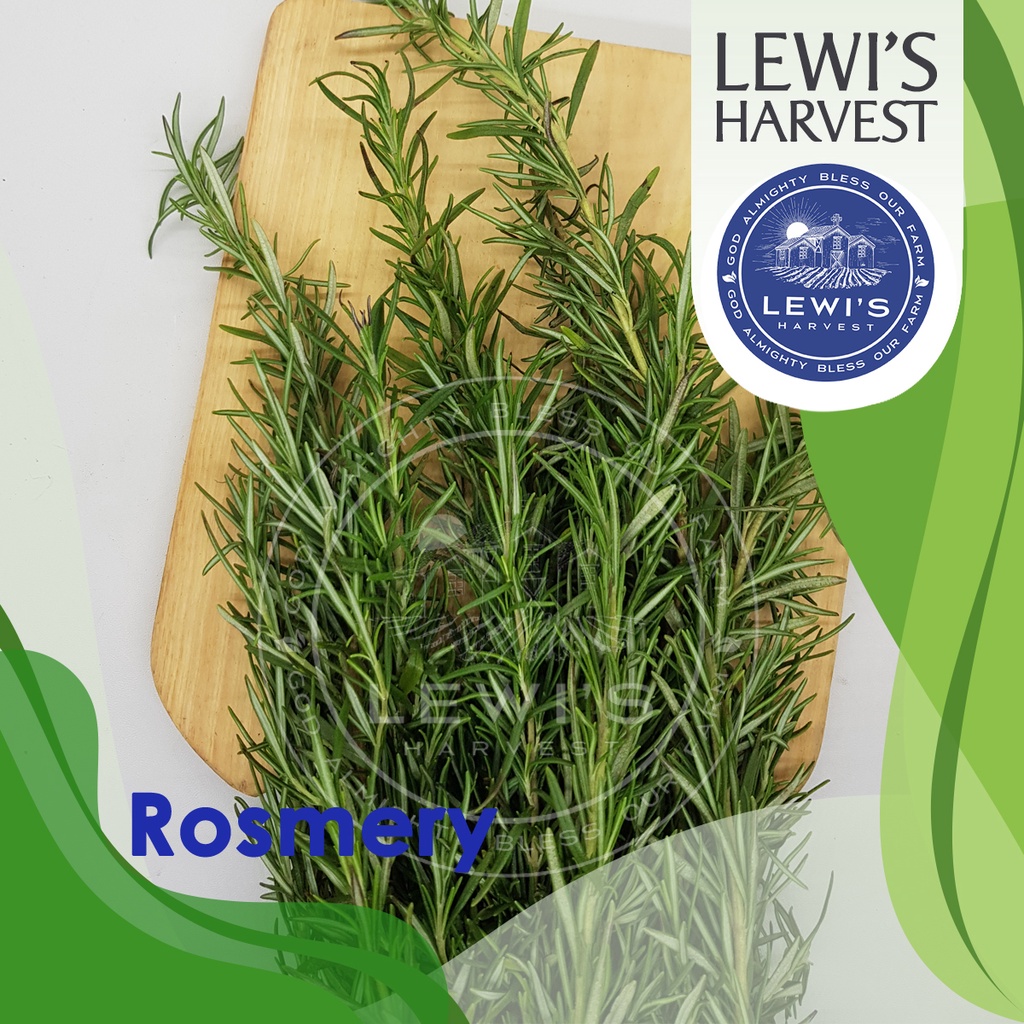 Rosemary Fresh/ Daun Rosemary Fresh/ Fresh Rosemary Leave 20gr