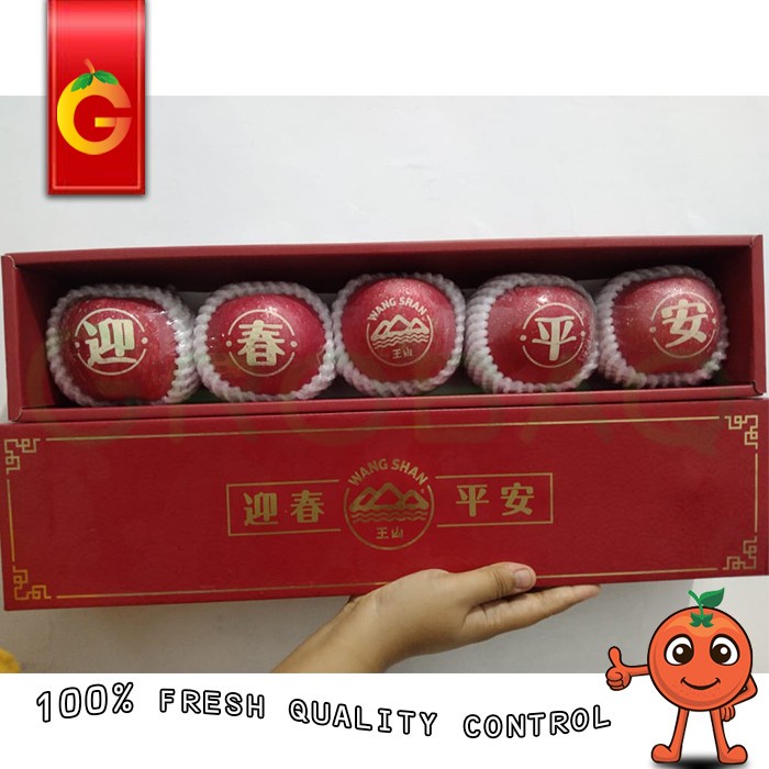 

SPESIAL GIFT IMLEK - BUAH APEL WANGSHAN TATTO ISI 5 PCS