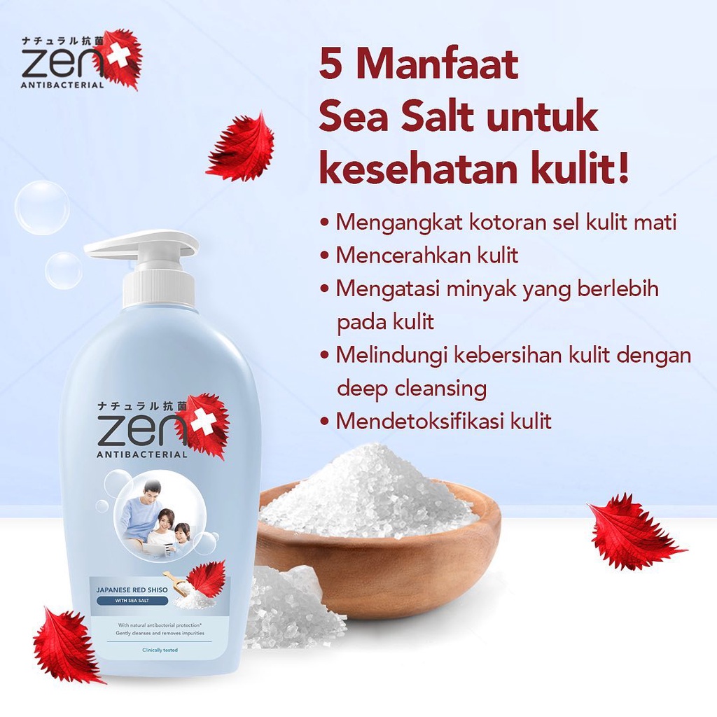 ZEN ANTIBACTERIAL BODY WASH PUMP 480ML