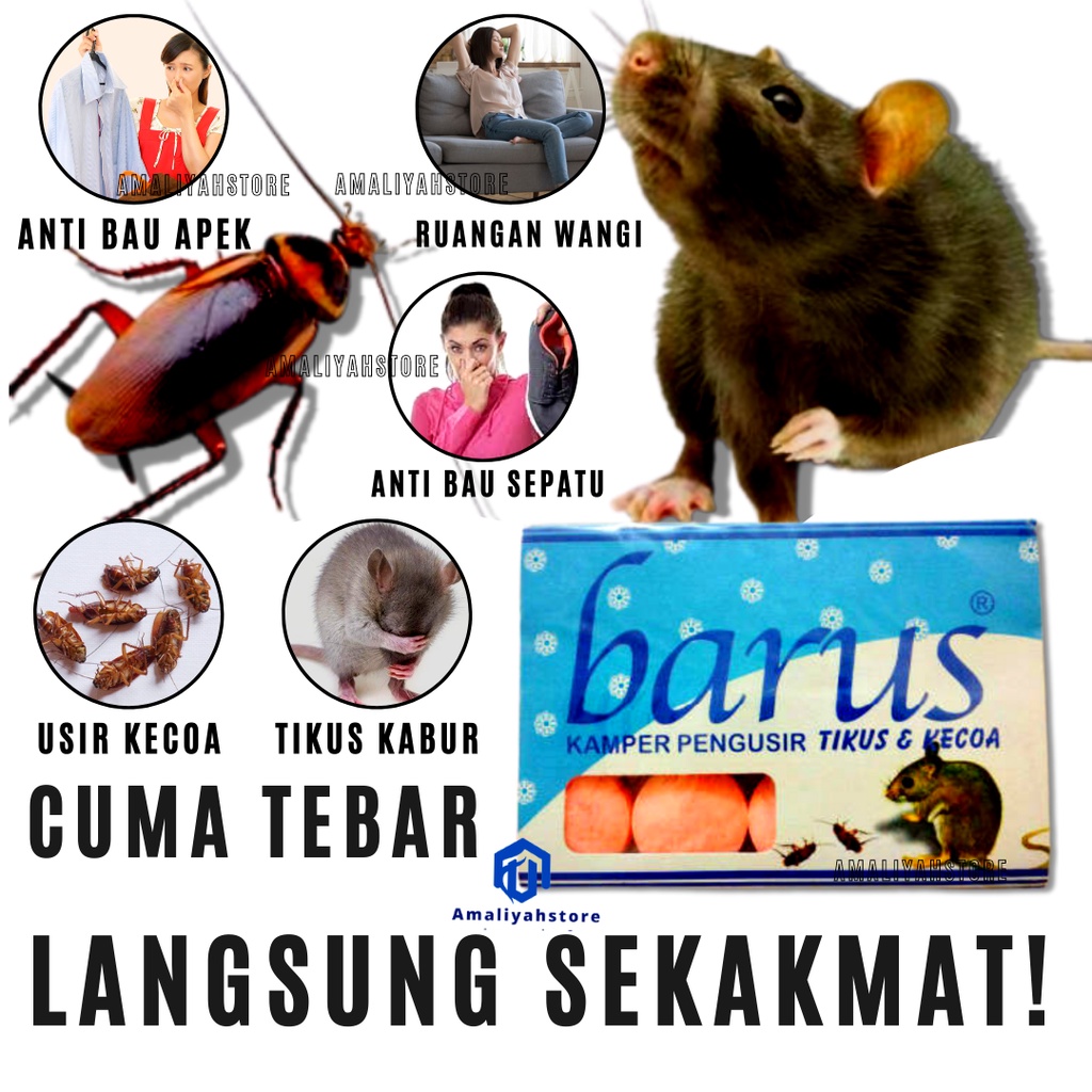 Kamper Barus Obat Pengusir Pembasmi Tikus Anti Serangga Dan Kecoa Penghilang Bau Toilet Kamar Mandi Mobil Dan Pewangi Lemari Ruangan Di Rumah