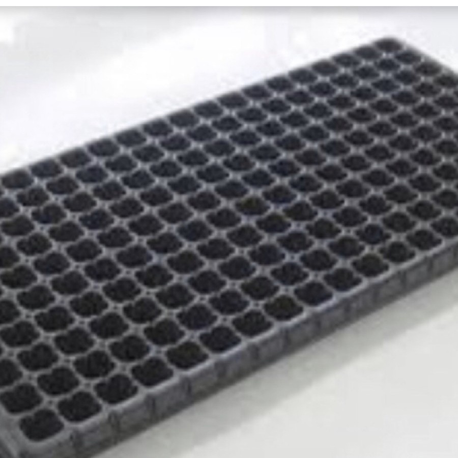 Tray semai 288 lubang hidroponik