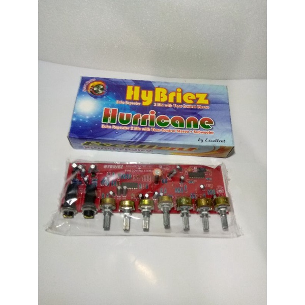 Tone Control stereo subwoofer+echo reverb 2 mic hybriez