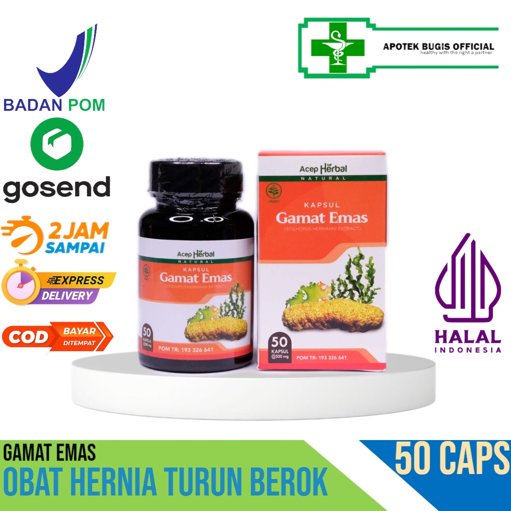 Kapsul GAMAT EMAS Obat Hernia Turun Berok Hidrokel Testis Besar Buah Zakar Bengkak Benjolan Varikokel Gamat Emas Kapsul - BPOM &amp; Halal