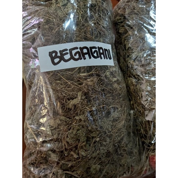 

Pegagan Kering / Antanan / Begagan / Daun Kaki Kuda / Daun Pegagan Kering 500gr