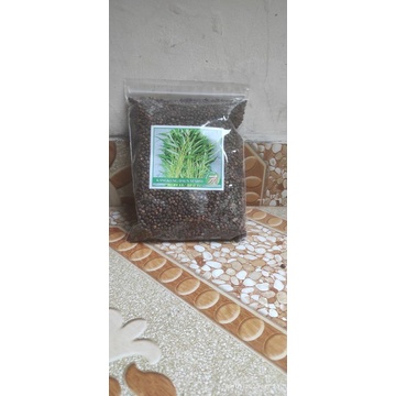 Benih Kangkung Daun Sempit Unggul 500 gram | Isi 11.000 | Bibit Kangkung Daun Sempit