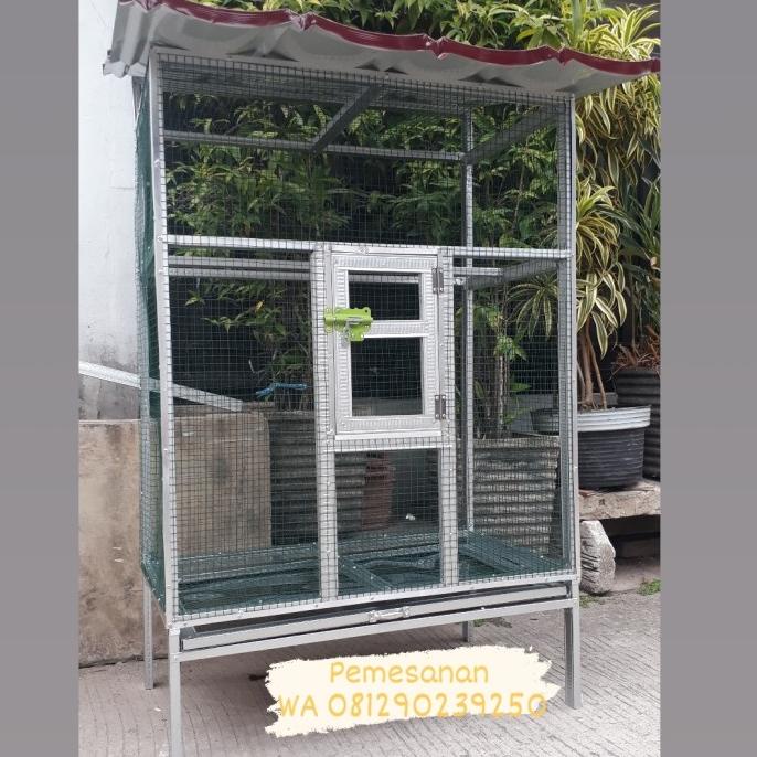 Kandang burung koloni lovebird