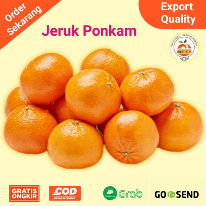 Jual Buah Jeruk Ponkam Jeruk Mandarin Manis Shopee Indonesia