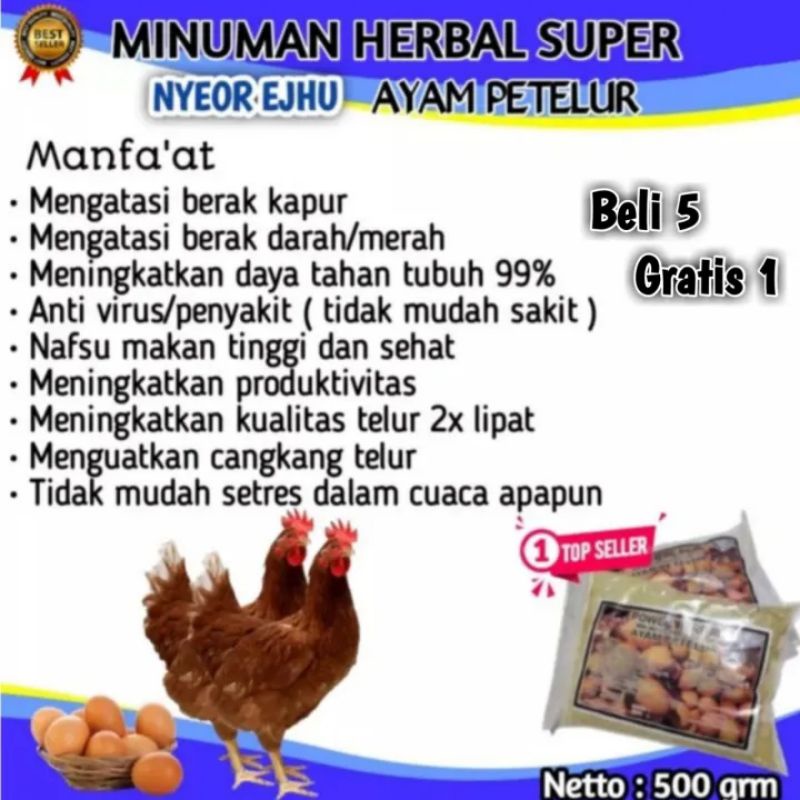 JAMU AYAM PETELUR NYEOR EJUH VITAMIN AYAM PETELUR AYAM KAMPUNG SUPLEMEN HERBAL AYAM PETELUR