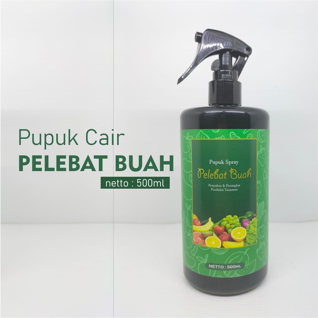 PUPUK PELEBAT BUAH | nutrisi terbaik untuk melebatkan buah