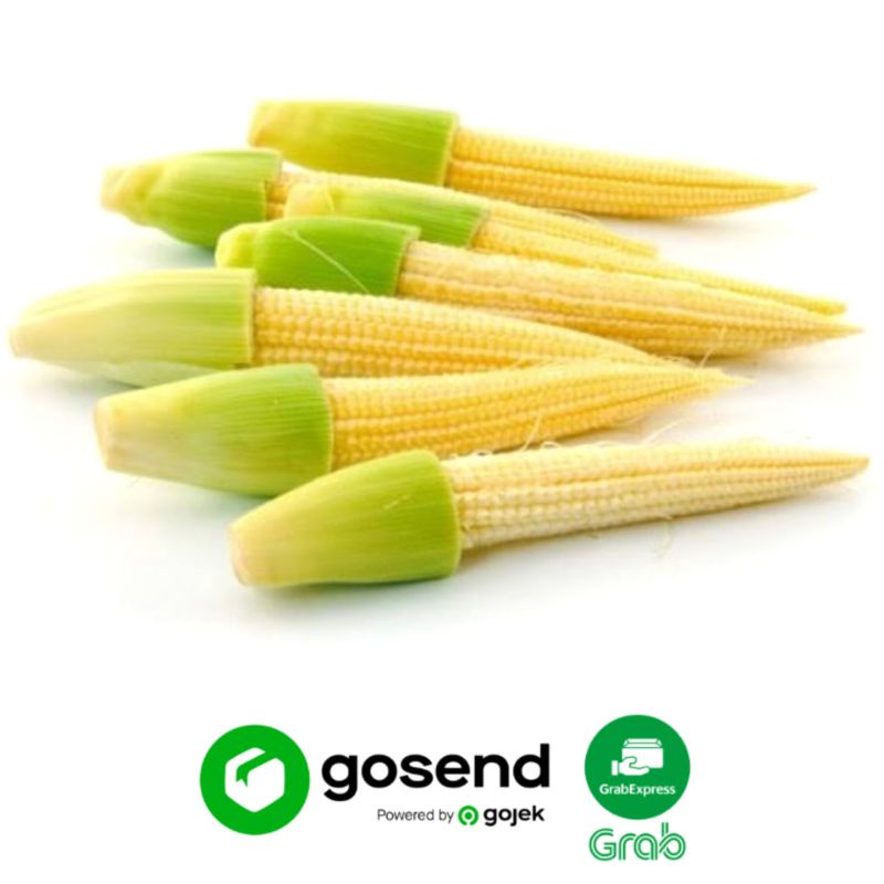 

Jagung Putren 250 Gram
